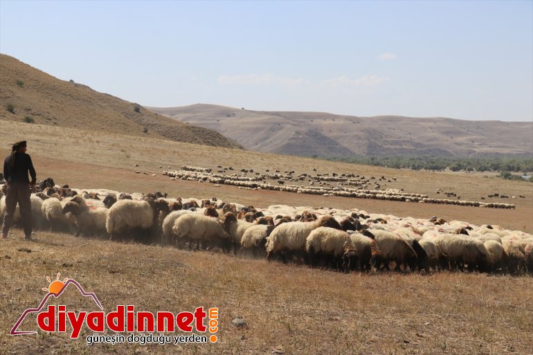 tamamlayan göçerler Doğu yolunda mesaisini Anadolu