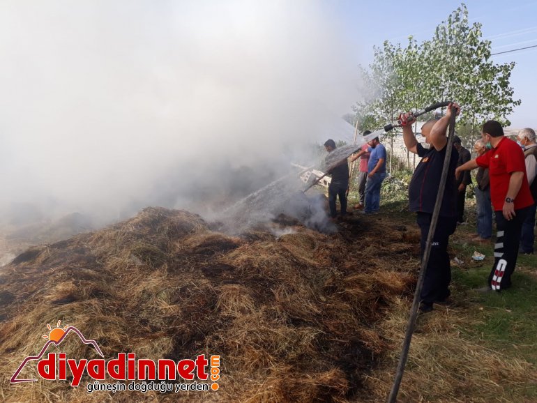 Yaz boyunca verdiği emek kül oldu1