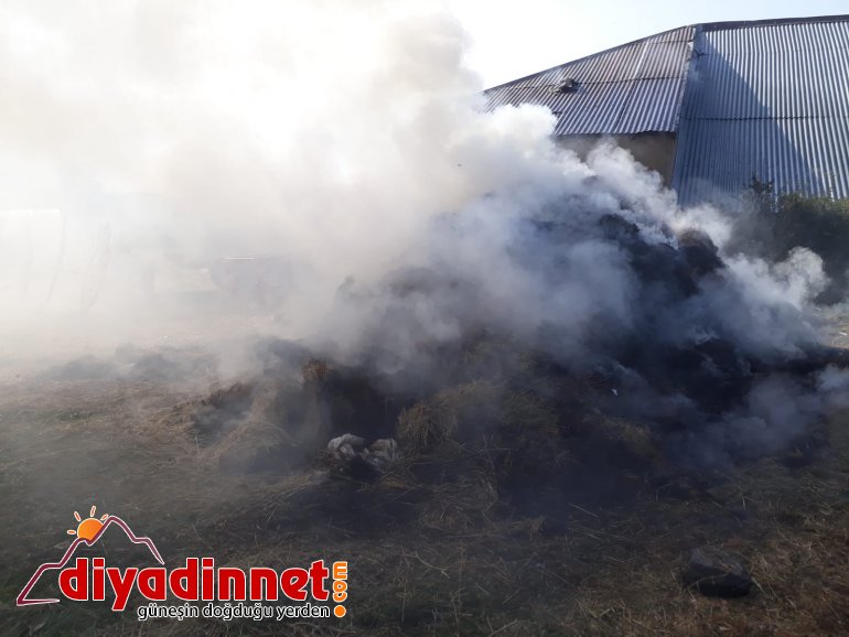 Yaz boyunca verdiği emek kül oldu2