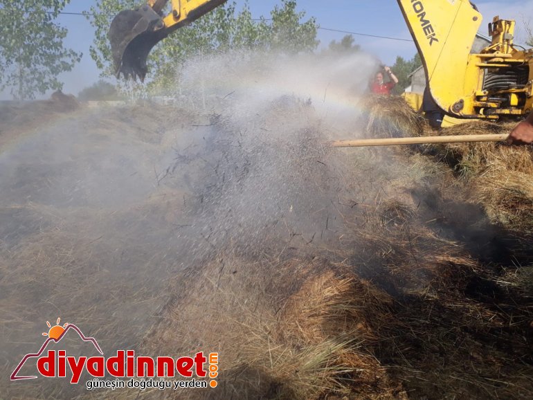 Yaz boyunca verdiği emek kül oldu3