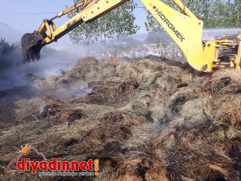 Yaz boyunca verdiği emek kül oldu4