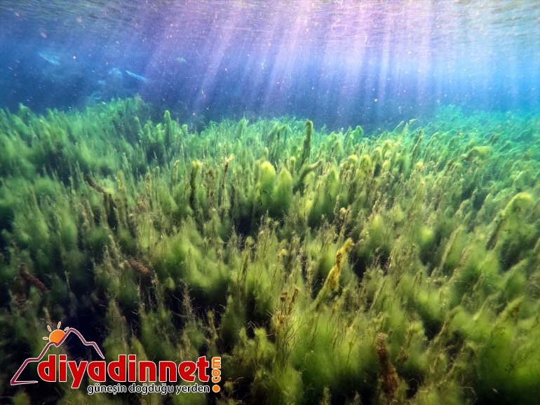 Ağrı veriyor çevresine bozulmamış hayat su ve kaynakları Dağı doğasıyla 12