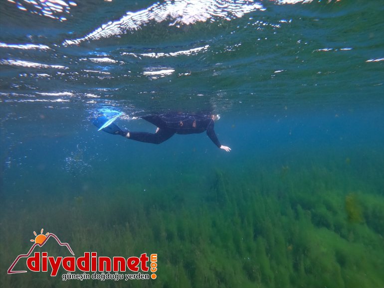 Ağrı çevresine Dağı kaynakları ve veriyor hayat su doğasıyla bozulmamış 14