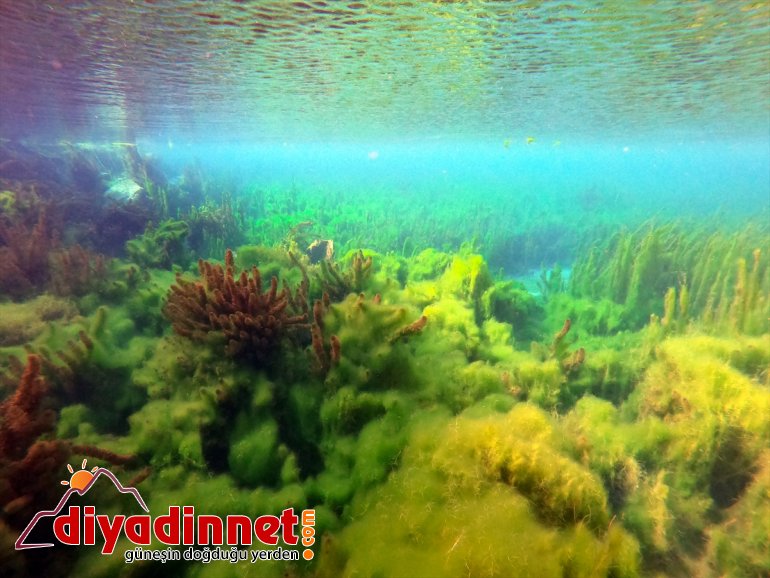 Ağrı hayat Dağı doğasıyla çevresine su bozulmamış kaynakları ve veriyor 17