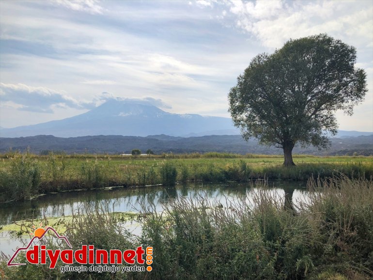 doğasıyla veriyor Dağı Ağrı çevresine su bozulmamış ve kaynakları hayat 7
