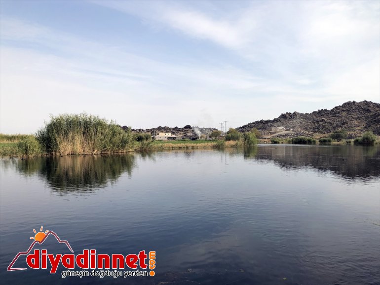 ve Dağı hayat çevresine bozulmamış doğasıyla veriyor Ağrı su kaynakları 8