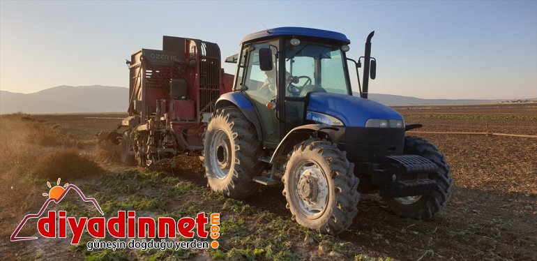 çiftçilerin şeker zorlu devam ediyor Ağrı