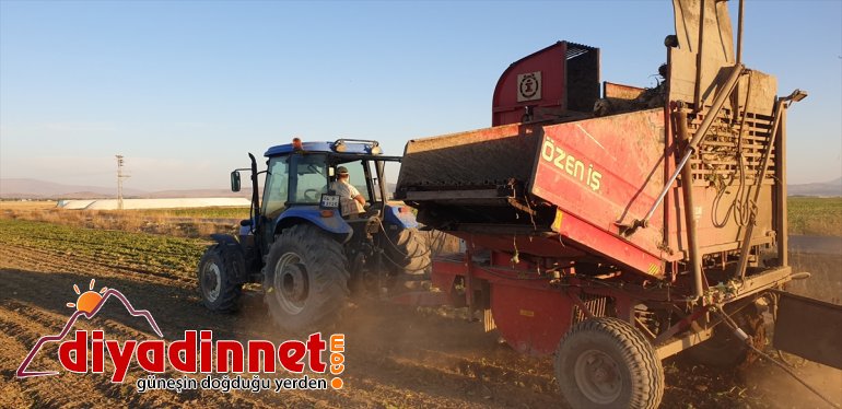 şeker ediyor Ağrı