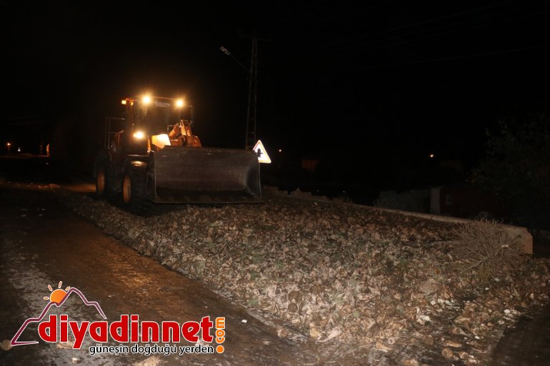 aksattı - AĞRI dorsesinden şeker ulaşımı Tırın dökülen yola pancarları 2