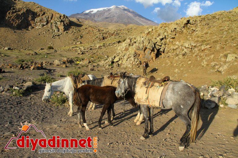 dağcıların Türkiye