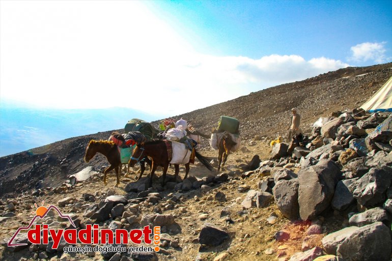 sırtlıyor yükünü Çatısına tırmanan dağcıların katırlar Türkiye