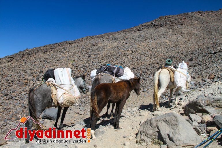 tırmanan yükünü sırtlıyor Çatısına katırlar Türkiye