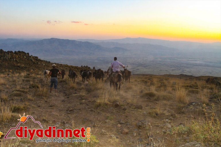 katırlar Çatısına tırmanan sırtlıyor dağcıların Türkiye