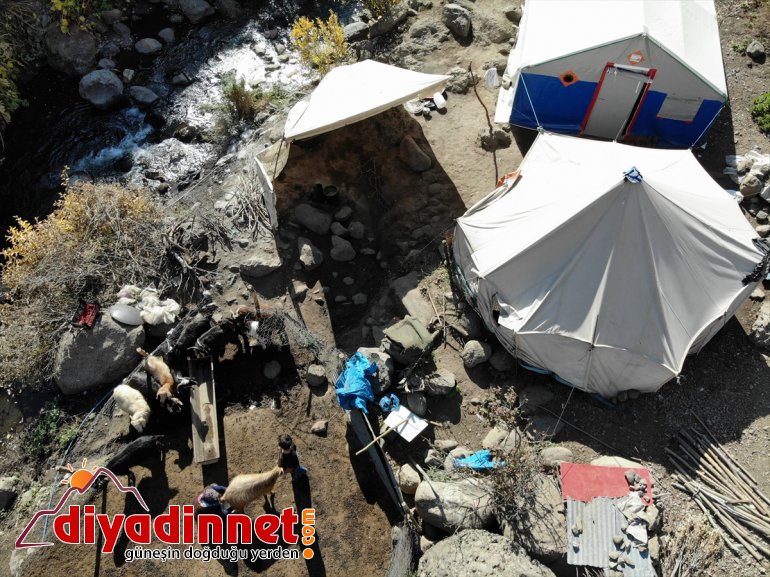 ailesi yaşama Ağası Hanım - zorlu AĞRI göğüs için kişilik geriyor 4 Yaylanın 1