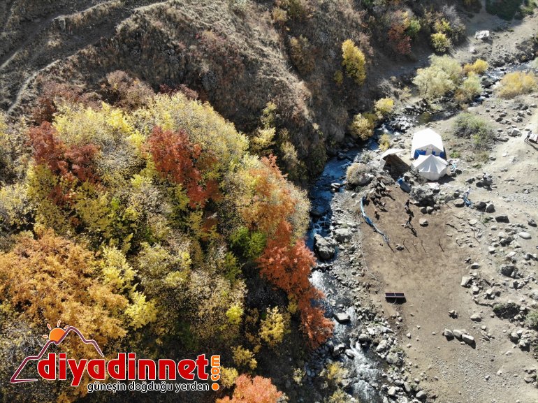 Yaylanın "Hanım Ağası" 4 kişilik ailesi için zorlu yaşama göğüs geriyor