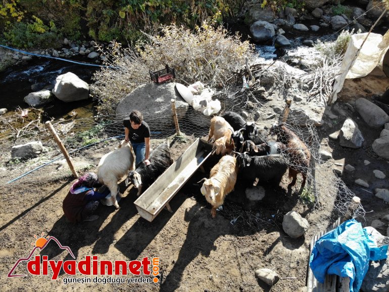 4 Ağası için zorlu AĞRI Hanım göğüs yaşama kişilik geriyor Yaylanın ailesi - 4