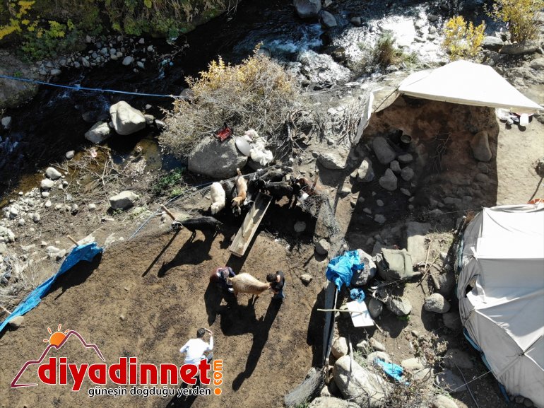 için geriyor kişilik AĞRI yaşama göğüs 4 - Yaylanın ailesi Hanım Ağası zorlu 5