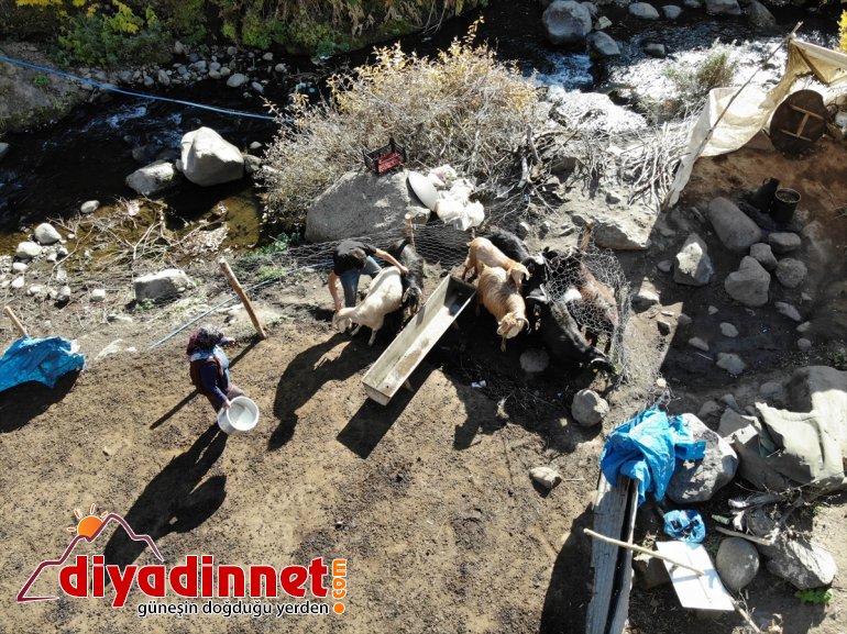 Hanım geriyor Yaylanın zorlu göğüs kişilik - Ağası yaşama AĞRI 4 ailesi için 7