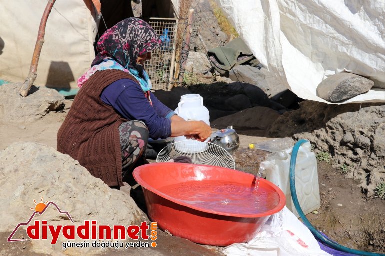 Yaylanın Hanım Ağası kişilik ailesi için zorlu yaşama göğüs geriyor4