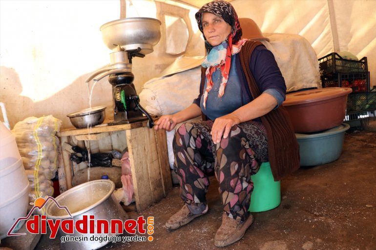 Yaylanın Hanım Ağası kişilik ailesi için zorlu yaşama göğüs geriyor6