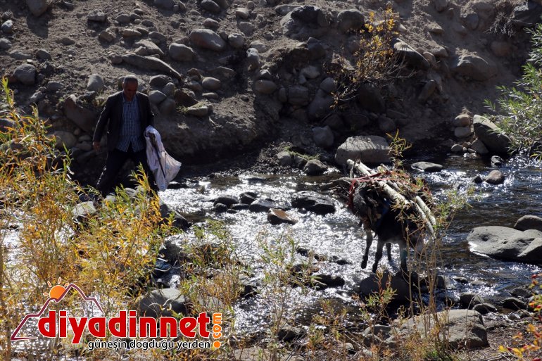 Yaylanın Hanım Ağası kişilik ailesi için zorlu yaşama göğüs geriyor7