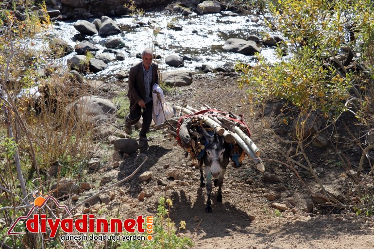 Yaylanın Hanım Ağası kişilik ailesi için zorlu yaşama göğüs geriyor8