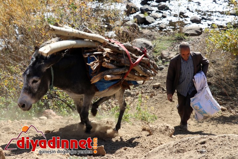 Yaylanın Hanım Ağası kişilik ailesi için zorlu yaşama göğüs geriyor9