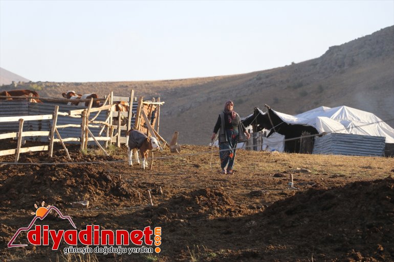 hayatı  AĞRI yaylada göçerlerin zorlu geçiren yarısını - Yılın 18