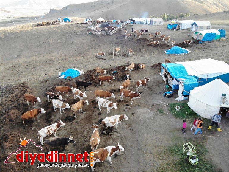 Yılın yarısını yaylada geçiren göçerlerin zorlu hayatı