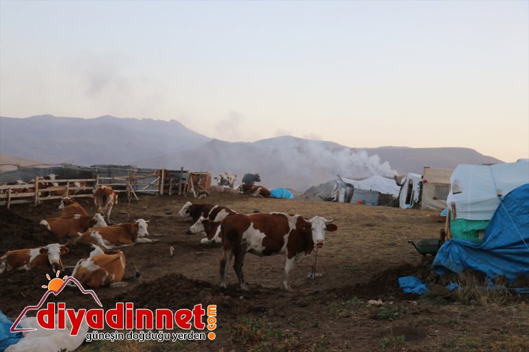 hayatı geçiren yarısını yaylada zorlu  AĞRI - göçerlerin Yılın 20