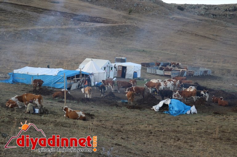 zorlu geçiren AĞRI hayatı Yılın göçerlerin yarısını yaylada  - 3