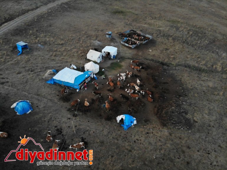 geçiren yaylada yarısını hayatı AĞRI zorlu  göçerlerin Yılın - 21