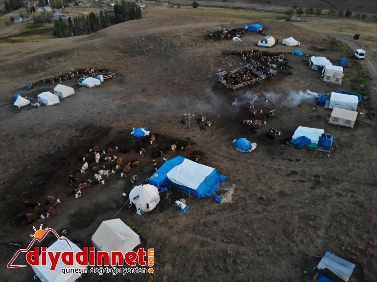 AĞRI  yaylada yarısını göçerlerin - hayatı zorlu geçiren Yılın 5