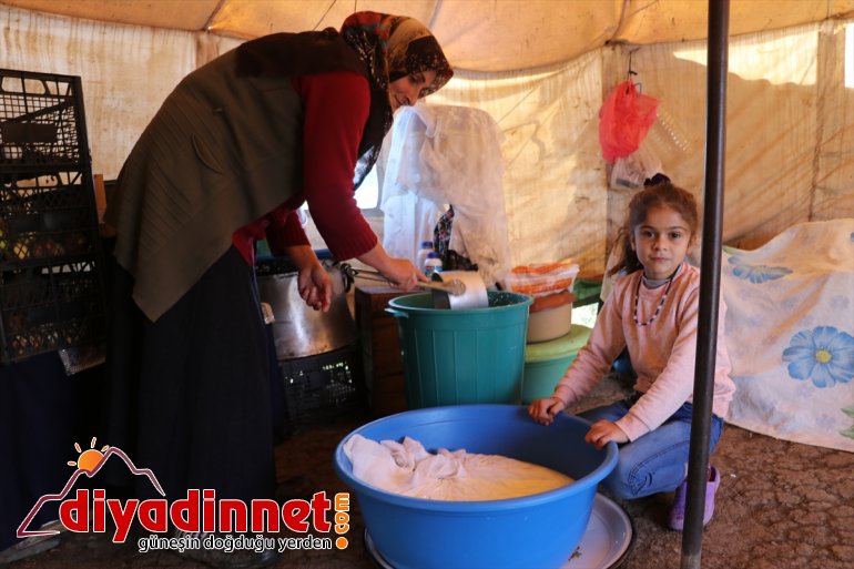  zorlu - yarısını geçiren yaylada Yılın göçerlerin hayatı AĞRI 6