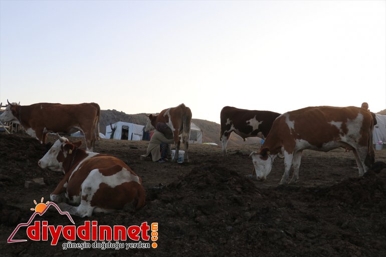 - hayatı geçiren göçerlerin Yılın yaylada yarısını  zorlu AĞRI 9