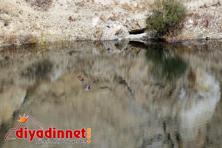 Zirvedeki - ziyaretçilerini güzellik AĞRI Hayrangöl bekliyor saklı 4