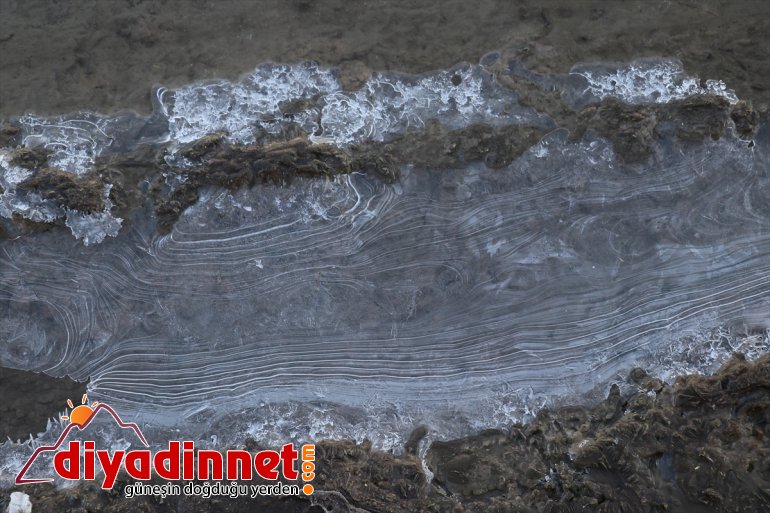 Ağrı da dereler dondu4