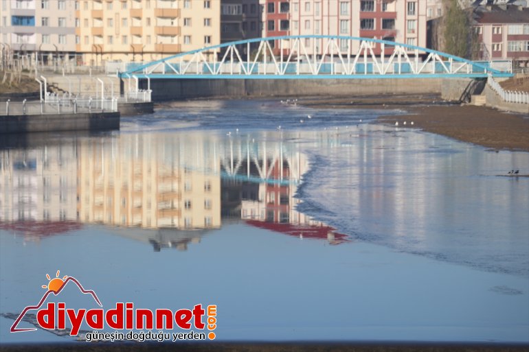 Ağrı da dereler dondu9