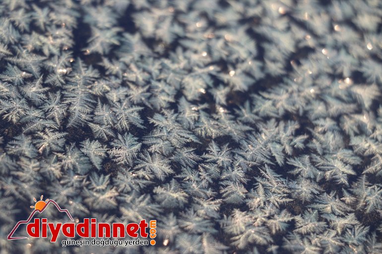 Ağrı da soğuk hava araçların camlarını dondurdu4