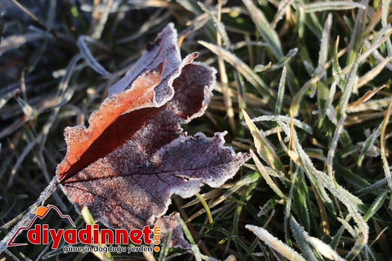 Ağrı da soğuk hava araçların camlarını dondurdu5