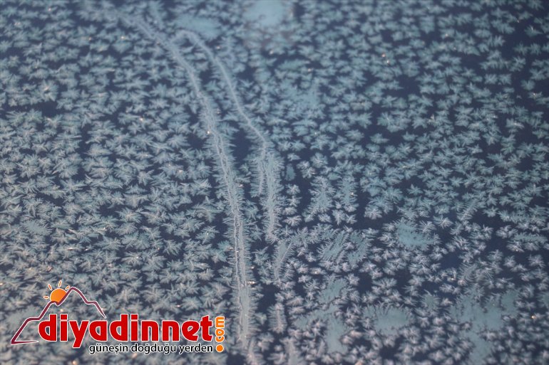 Ağrı da soğuk hava araçların camlarını dondurdu7