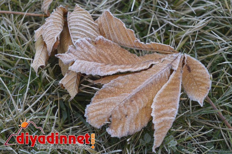 Ağrı da soğuk hava hayatı olumsuz etkiliyor4