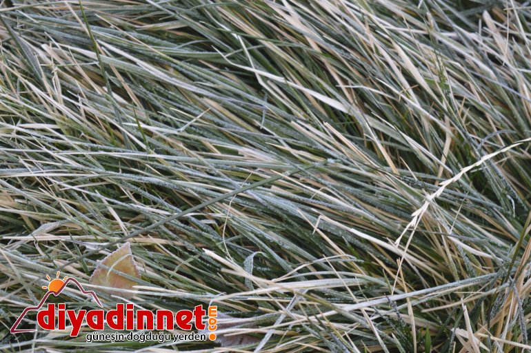 Ağrı da soğuk hava hayatı olumsuz etkiliyor7