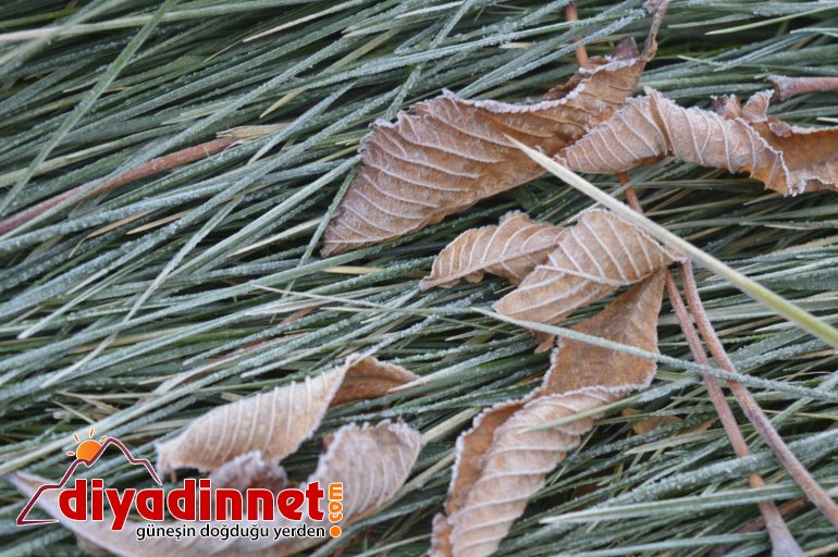 Ağrı da soğuk hava hayatı olumsuz etkiliyor9