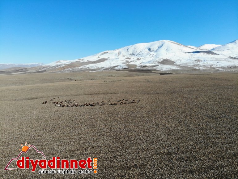 Ağrı nın bir yanı kar bir yanı da sonbahar2