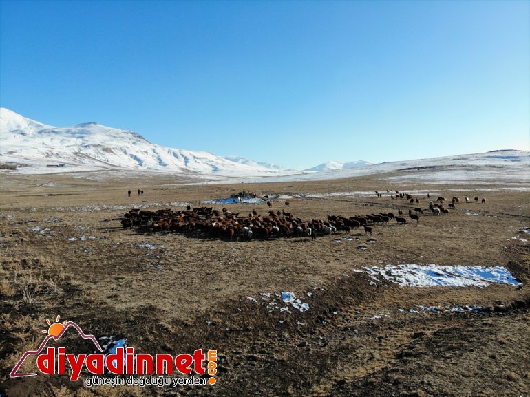 Ağrı nın bir yanı kar bir yanı da sonbahar4