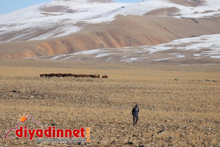 Ağrı nın bir yanı kar bir yanı da sonbahar8