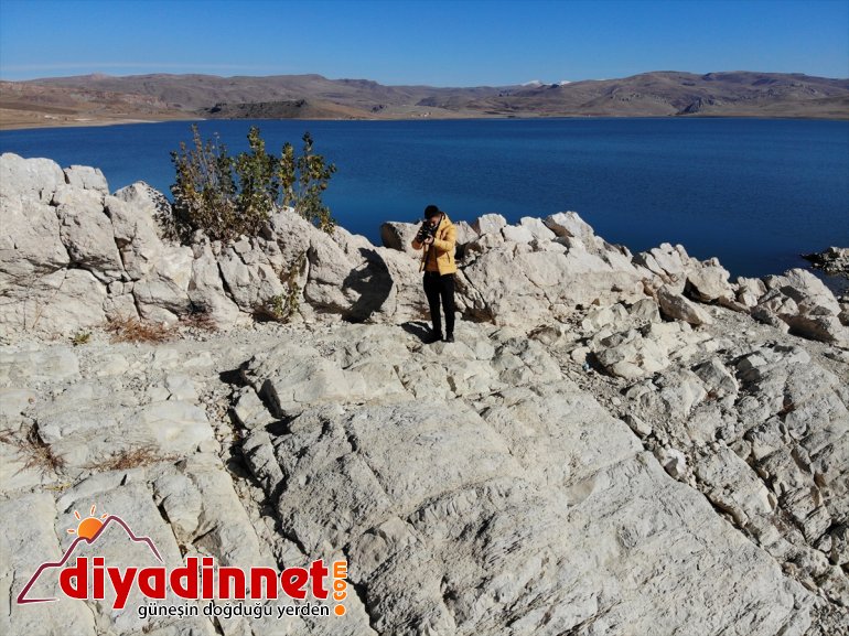 teşekkür - açan AĞRI ailesine genç, yardıma yardımdan Türkiye