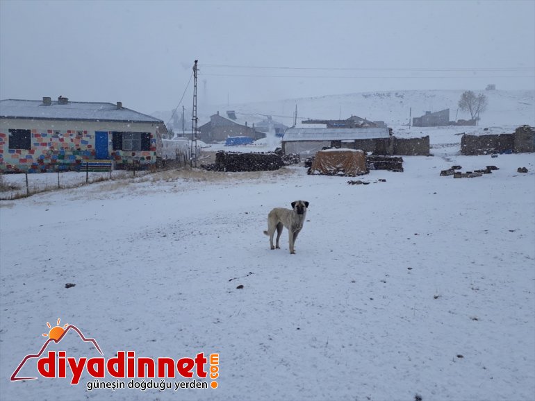 yağdı Yüksek kesimlere AĞRI - kar 3