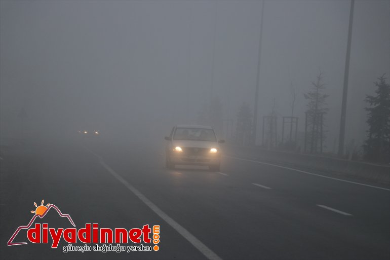yaşattı olan sis Ağrı